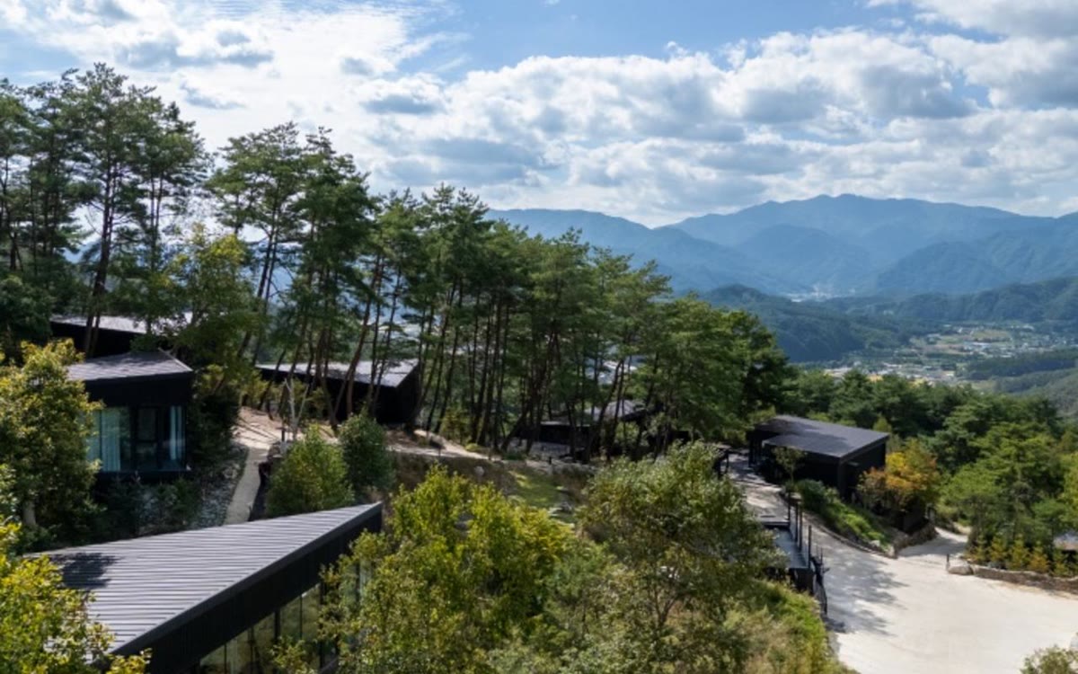 소나무 숲 산비탈에 자리한 평창 시작 독채들