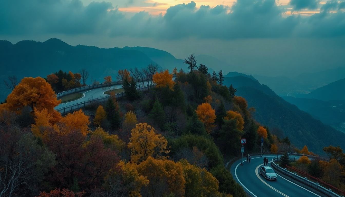 올가을 단풍 - autumn foliage this fall in Korea, overhead view of winding mountain road surrounded by red and yellow maple trees, warm golden light