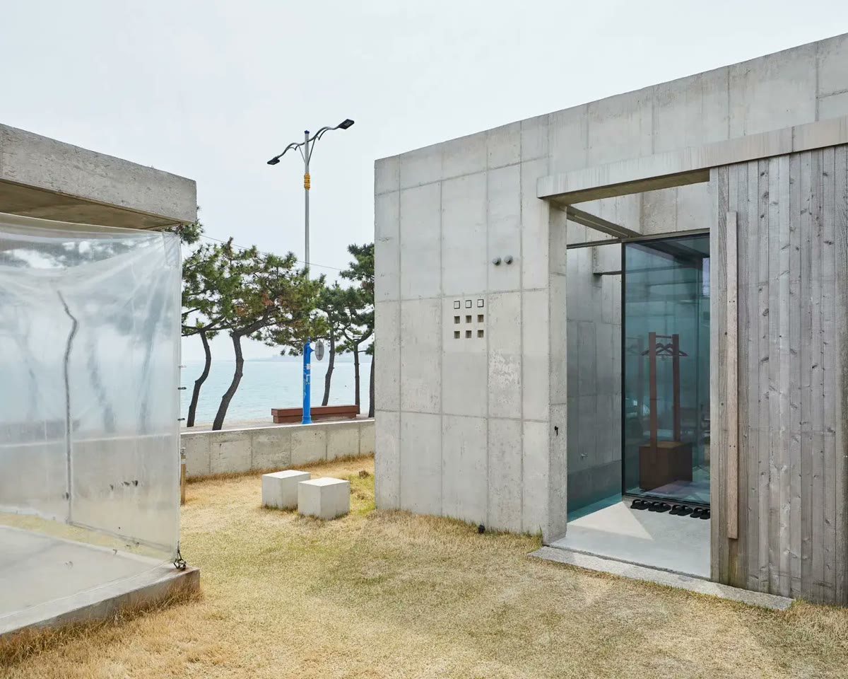 바다 쪽 소나무가 보이는 마당